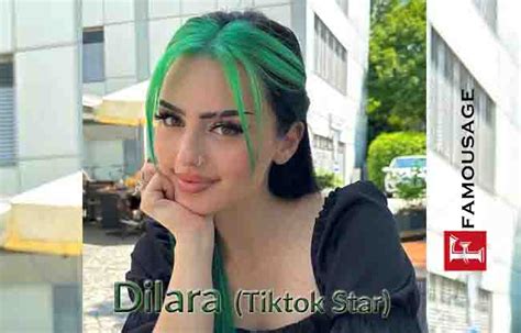 dilara tiktok|dilara steckbrief.